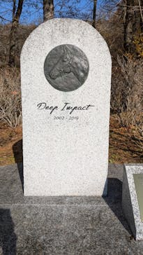 ノーザンホースパークに投稿された画像（2024/11/9）