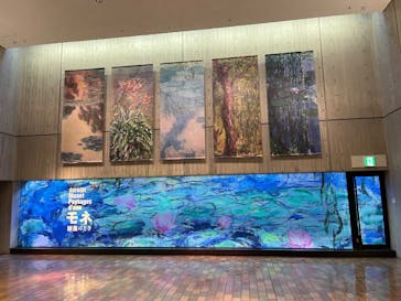 モネ 睡蓮のとき（国立西洋美術館）に投稿された画像（2024/11/9）