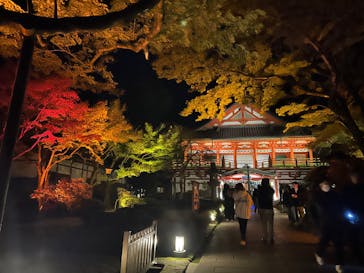 NAKED夜さんぽ™ 石川・那谷寺に投稿された画像（2024/11/9）