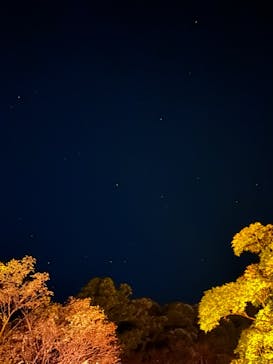 NAKED夜さんぽ™ 石川・那谷寺に投稿された画像（2024/11/9）