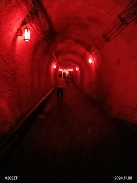 清津峡渓谷トンネルに投稿された画像（2024/11/9）