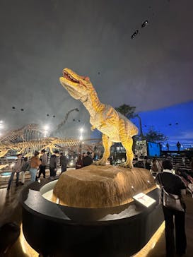 福井県立恐竜博物館に投稿された画像（2024/11/9）