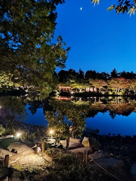 国営昭和記念公園 秋の夜散歩に投稿された画像（2024/11/9）