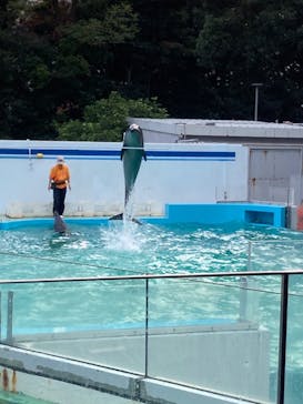 しながわ水族館に投稿された画像（2024/11/9）