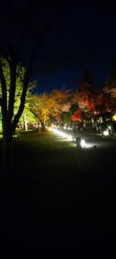 NAKED meets 二条城 2025 観月に投稿された画像（2024/11/9）