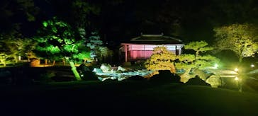 NAKED meets 二条城 2025 観月に投稿された画像（2024/11/9）