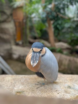 神戸どうぶつ王国に投稿された画像（2024/11/9）