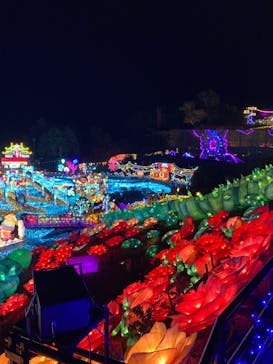 伊豆高原グランイルミに投稿された画像（2024/11/9）