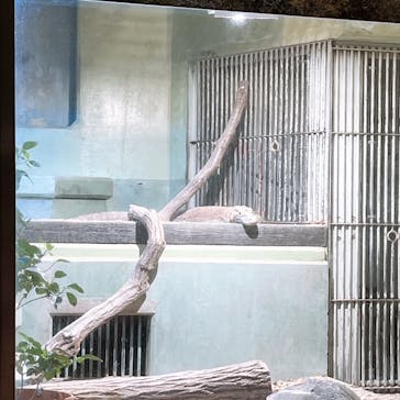 名古屋市東山動植物園に投稿された画像（2024/11/9）