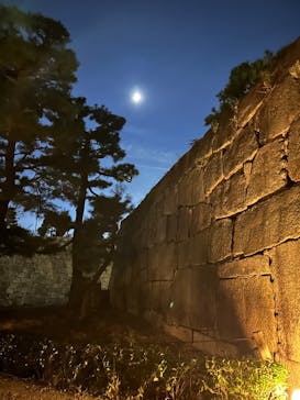 NAKED meets 二条城 2025 観月に投稿された画像（2024/11/9）