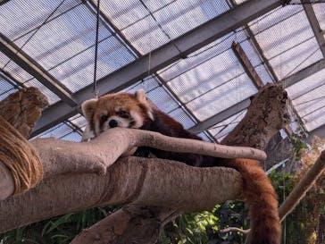 神戸どうぶつ王国に投稿された画像（2024/11/9）