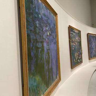 モネ 睡蓮のとき（国立西洋美術館）に投稿された画像（2024/11/9）