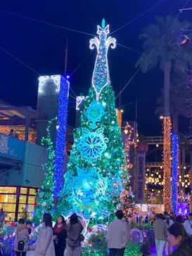 ひらかたパークに投稿された画像（2024/11/9）