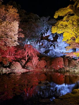 NAKED夜さんぽ™ 石川・那谷寺に投稿された画像（2024/11/9）