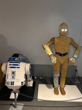 横浜ランドマークタワー 69階展望フロア スカイガーデンに投稿された画像（2024/11/9）