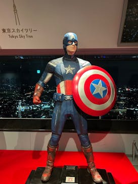 横浜ランドマークタワー 69階展望フロア スカイガーデンに投稿された画像（2024/11/9）