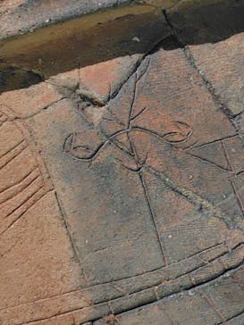 挂甲の武人 国宝指定50周年記念 特別展「はにわ」@東京国立博物館 平成館に投稿された画像（2024/11/9）