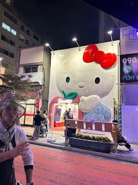 人力車のえびす屋 浅草店に投稿された画像（2024/11/9）