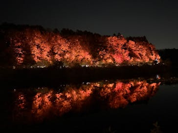 ムーミンバレーパークに投稿された画像（2024/11/9）