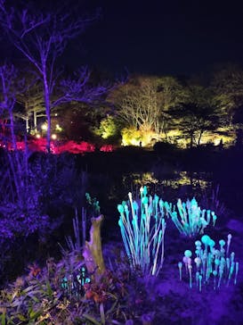 神戸六甲ミーツ・アート2025 beyondに投稿された画像（2024/11/9）