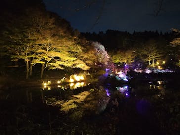 神戸六甲ミーツ・アート2025 beyondに投稿された画像（2024/11/9）