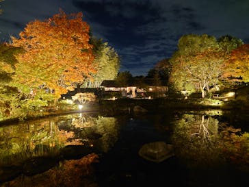 国営昭和記念公園 秋の夜散歩に投稿された画像（2024/11/9）