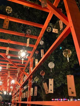 国営昭和記念公園 秋の夜散歩に投稿された画像（2024/11/9）