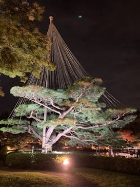 国営昭和記念公園 秋の夜散歩に投稿された画像（2024/11/9）