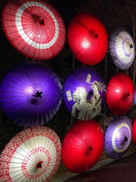 国営昭和記念公園 秋の夜散歩に投稿された画像（2024/11/9）