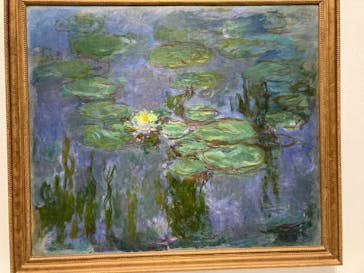 モネ 睡蓮のとき（国立西洋美術館）に投稿された画像（2024/11/9）
