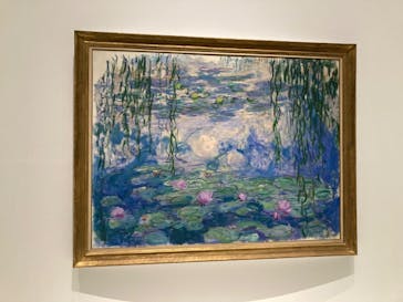 モネ 睡蓮のとき（国立西洋美術館）に投稿された画像（2024/11/9）