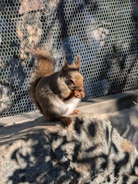 神戸どうぶつ王国に投稿された画像（2024/11/9）