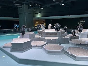 AOAO SAPPOROに投稿された画像（2024/11/9）