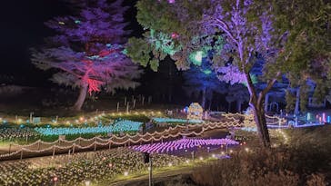 修善寺虹の郷に投稿された画像（2024/11/9）