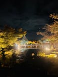 国営昭和記念公園 秋の夜散歩に投稿された画像（2024/11/9）