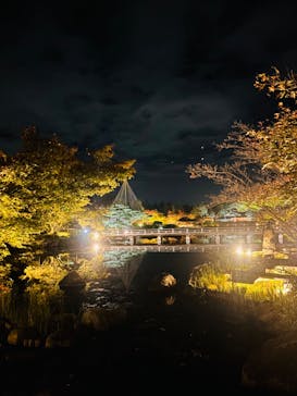 国営昭和記念公園 秋の夜散歩に投稿された画像（2024/11/9）