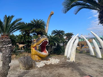 伊豆ぐらんぱる公園に投稿された画像（2024/11/9）