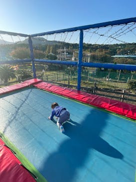 伊豆ぐらんぱる公園に投稿された画像（2024/11/9）