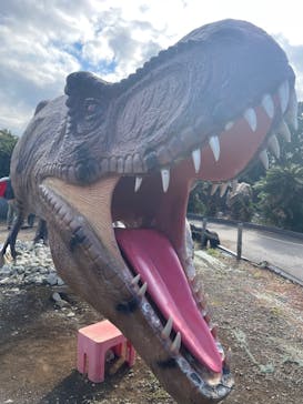 伊豆ぐらんぱる公園に投稿された画像（2024/11/9）