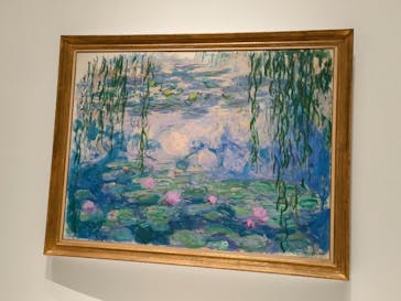 モネ 睡蓮のとき（国立西洋美術館）に投稿された画像（2024/11/9）