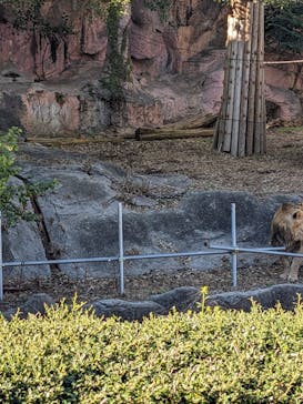 名古屋市東山動植物園に投稿された画像（2024/11/9）