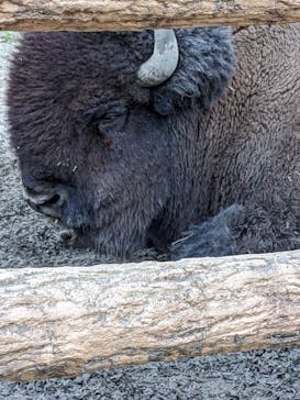 名古屋市東山動植物園に投稿された画像（2024/11/9）
