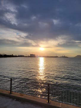 四国水族館に投稿された画像（2024/11/9）