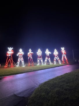 鹿児島イルミナージュに投稿された画像（2024/11/9）