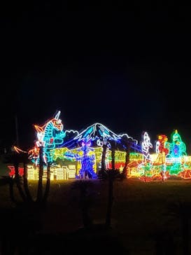 鹿児島イルミナージュに投稿された画像（2024/11/9）