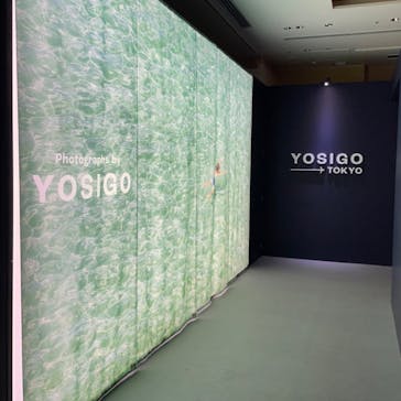 YOSIGO 写真展 Holiday Memories - 旅の瞬間 -に投稿された画像（2024/11/9）