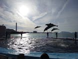 四国水族館に投稿された画像（2024/11/9）