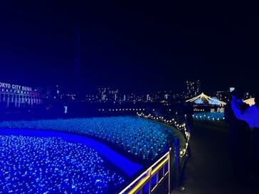 東京メガイルミに投稿された画像（2024/11/9）