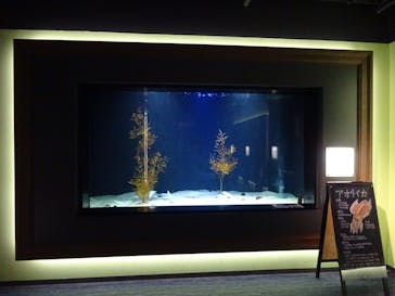 四国水族館に投稿された画像（2024/11/9）