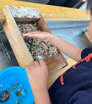 Discovery Worldに投稿された画像（2024/11/9）